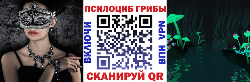 цены наркотик  Коммунар  Псилоцибиновые грибы Psilocybe 