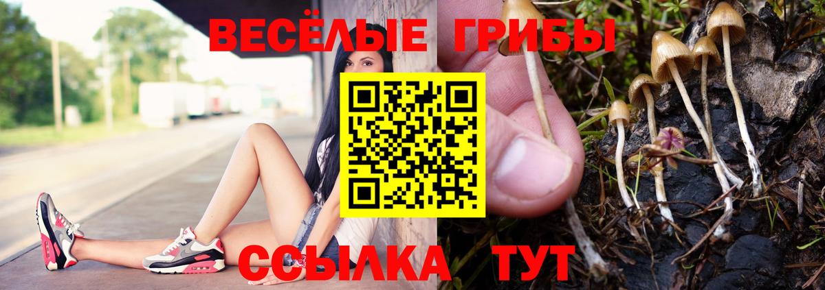 Псилоцибиновые грибы Psilocybine cubensis Коммунар